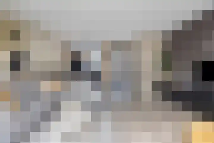 Oosterlandenerf 84 IJsselmuiden thumbnail 13
