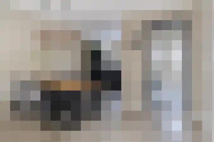 Oosterlandenerf 84 IJsselmuiden thumbnail 14