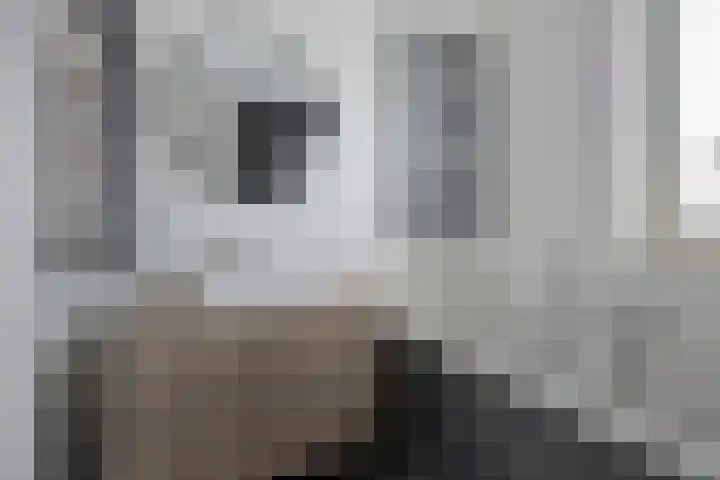 Oosterlandenerf 84 IJsselmuiden thumbnail 24