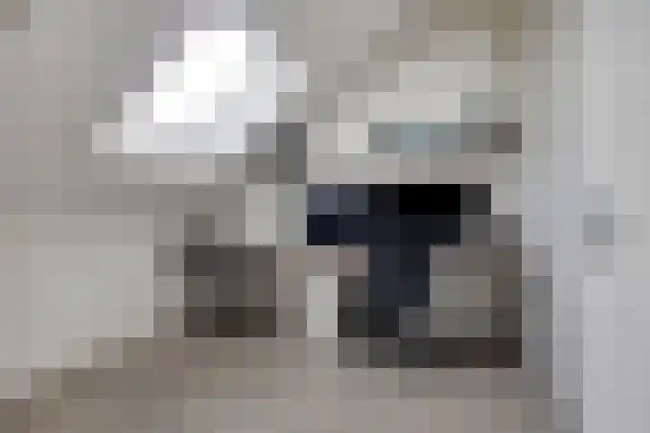 Oosterlandenerf 84 IJsselmuiden thumbnail 29