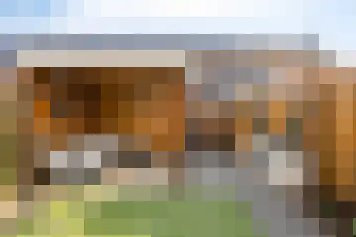 Oosterlandenerf 84 IJsselmuiden thumbnail 5