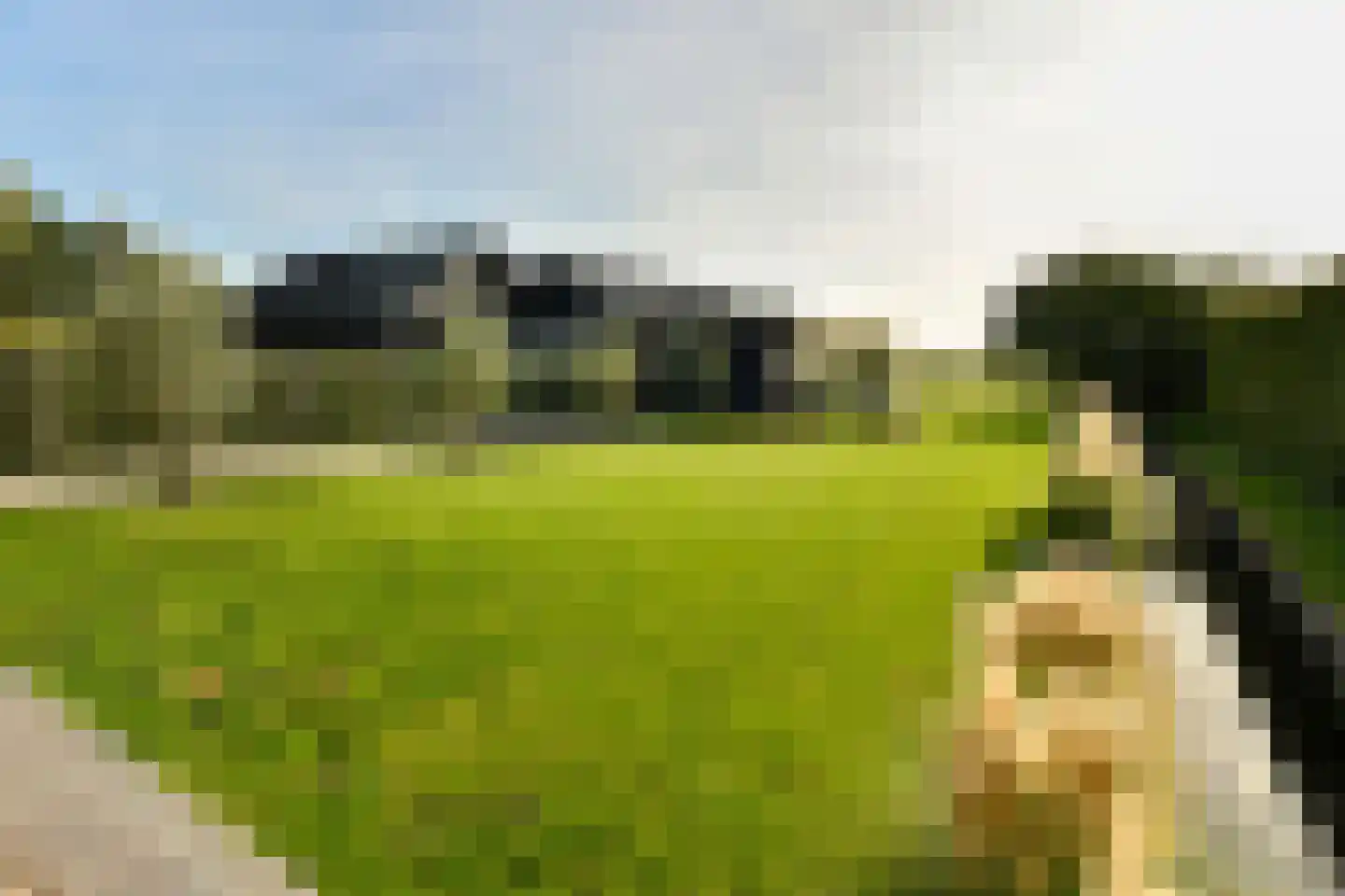 Oosterlandweg 11 Mijdrecht thumbnail 6