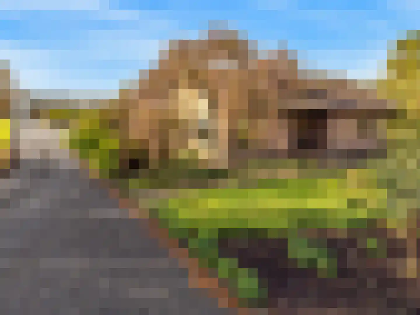 Oosterlandweg 35 Mijdrecht thumbnail 7