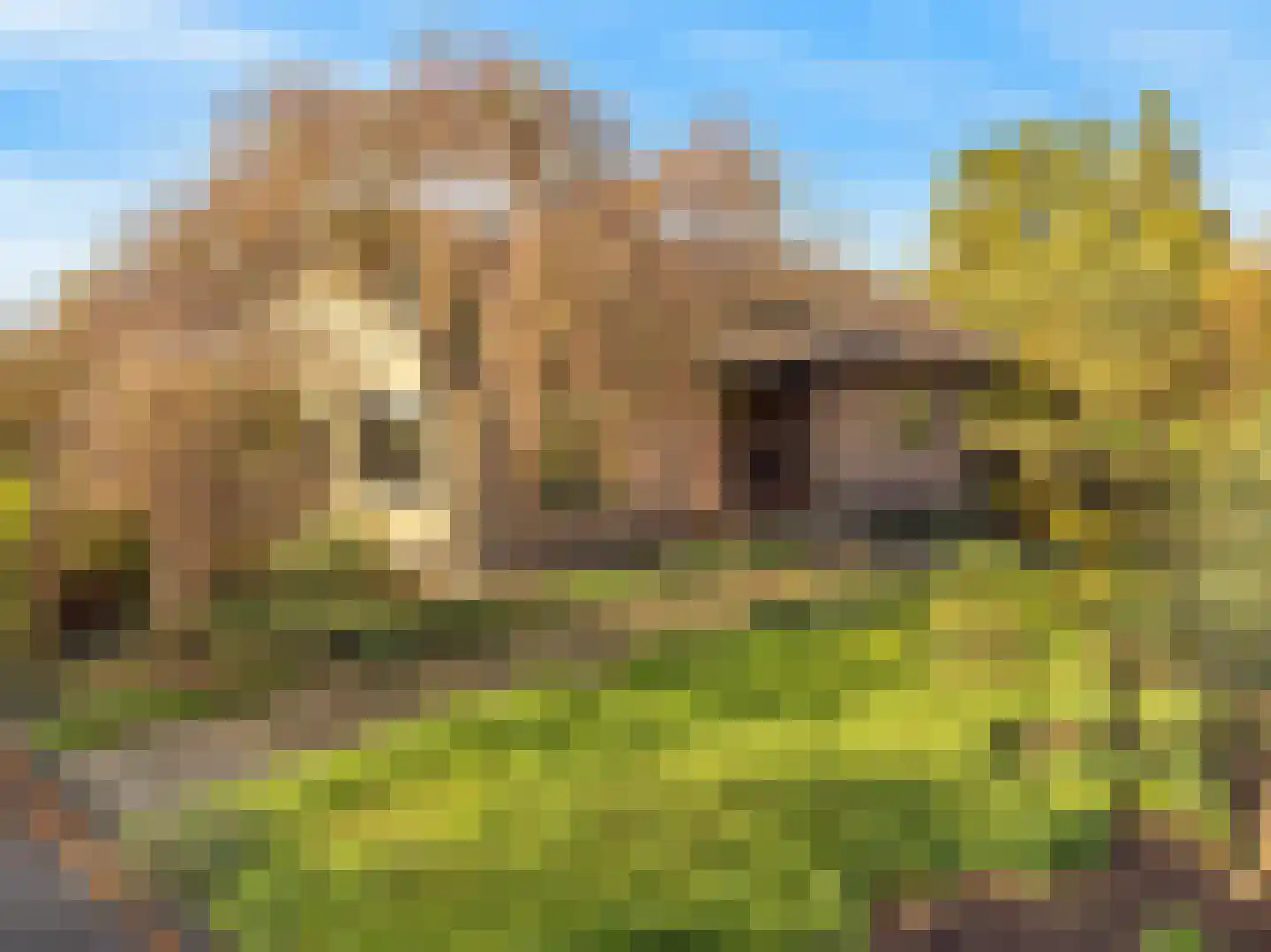 Oosterlandweg 35 Mijdrecht thumbnail 8