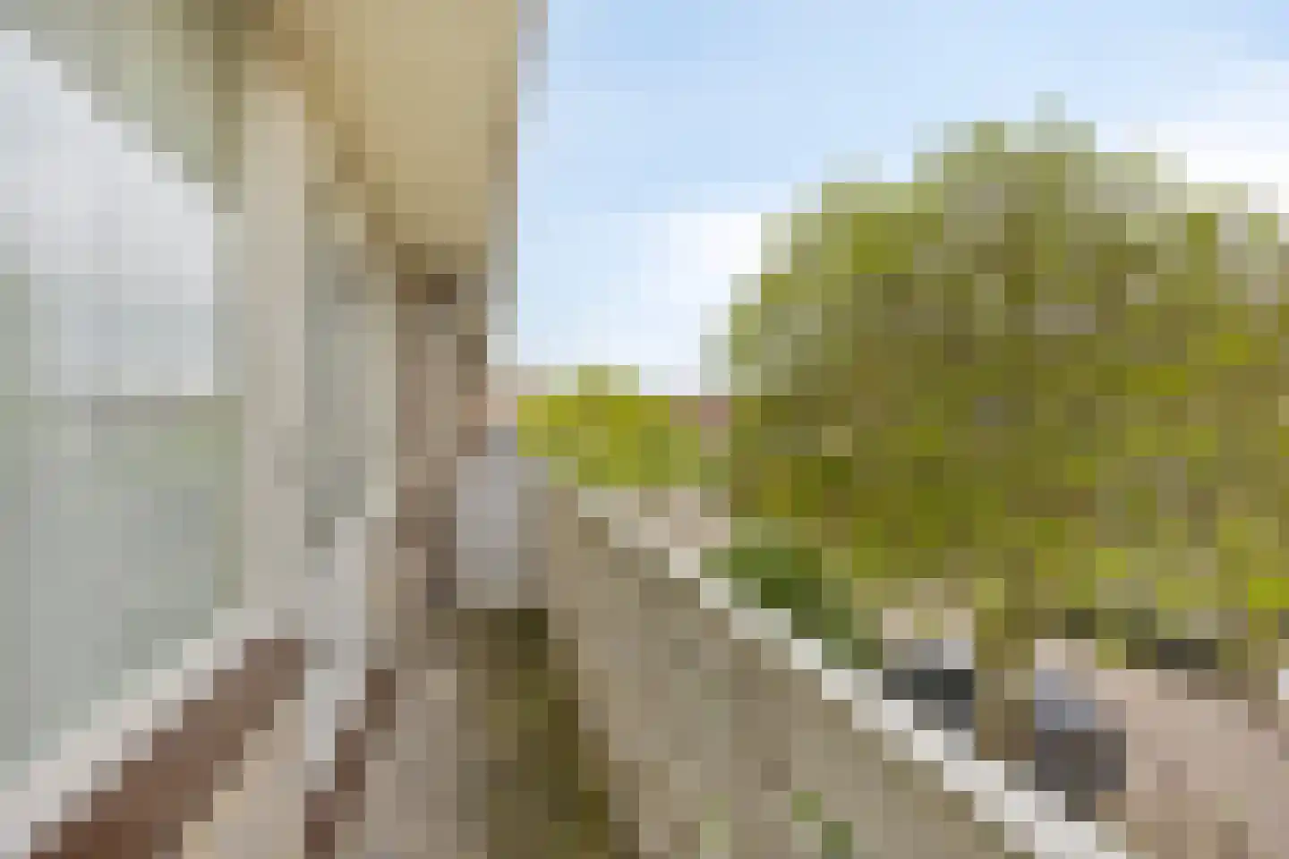 Oosterlee 6 De Lier thumbnail 21