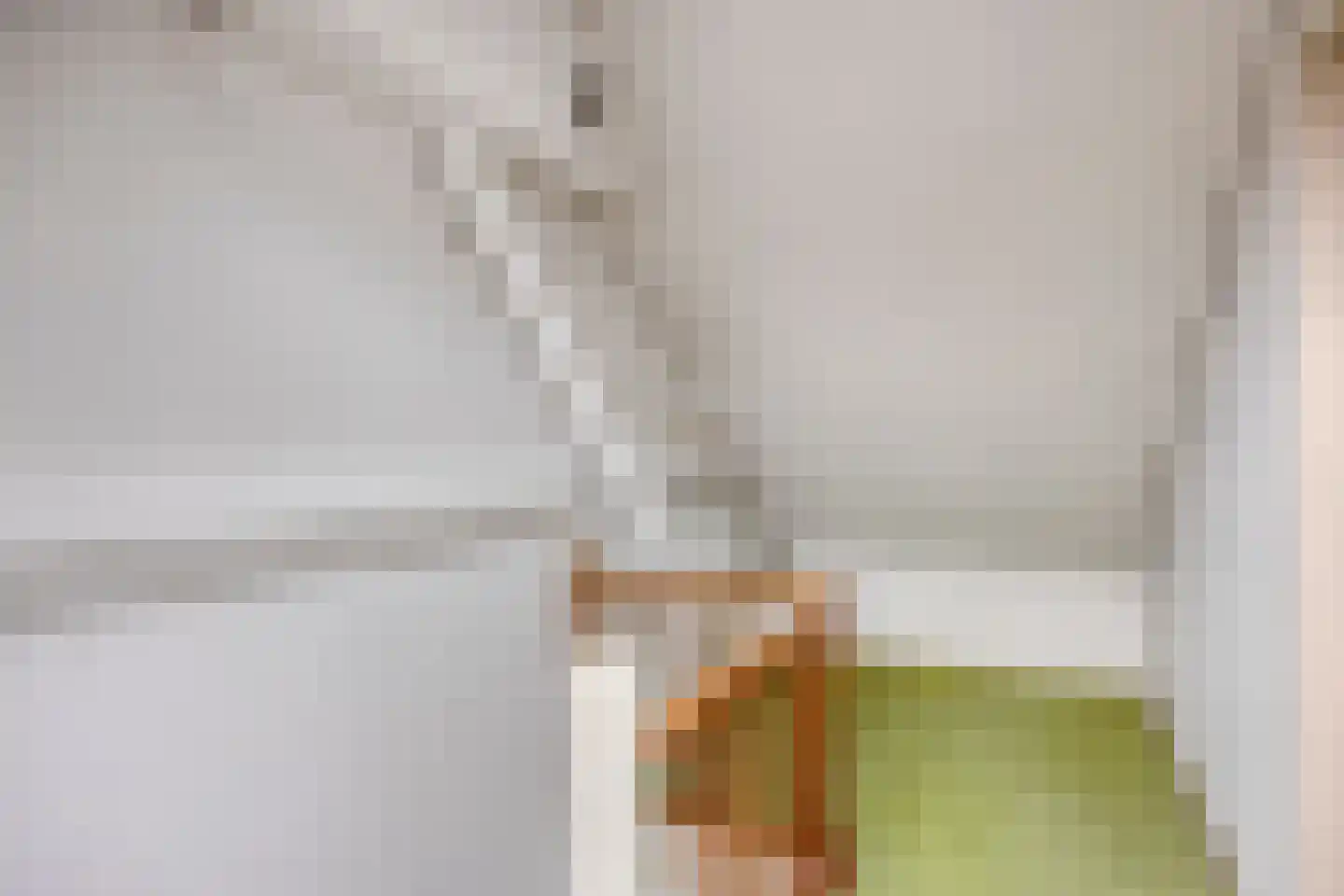 Oosterlee 6 De Lier thumbnail 32
