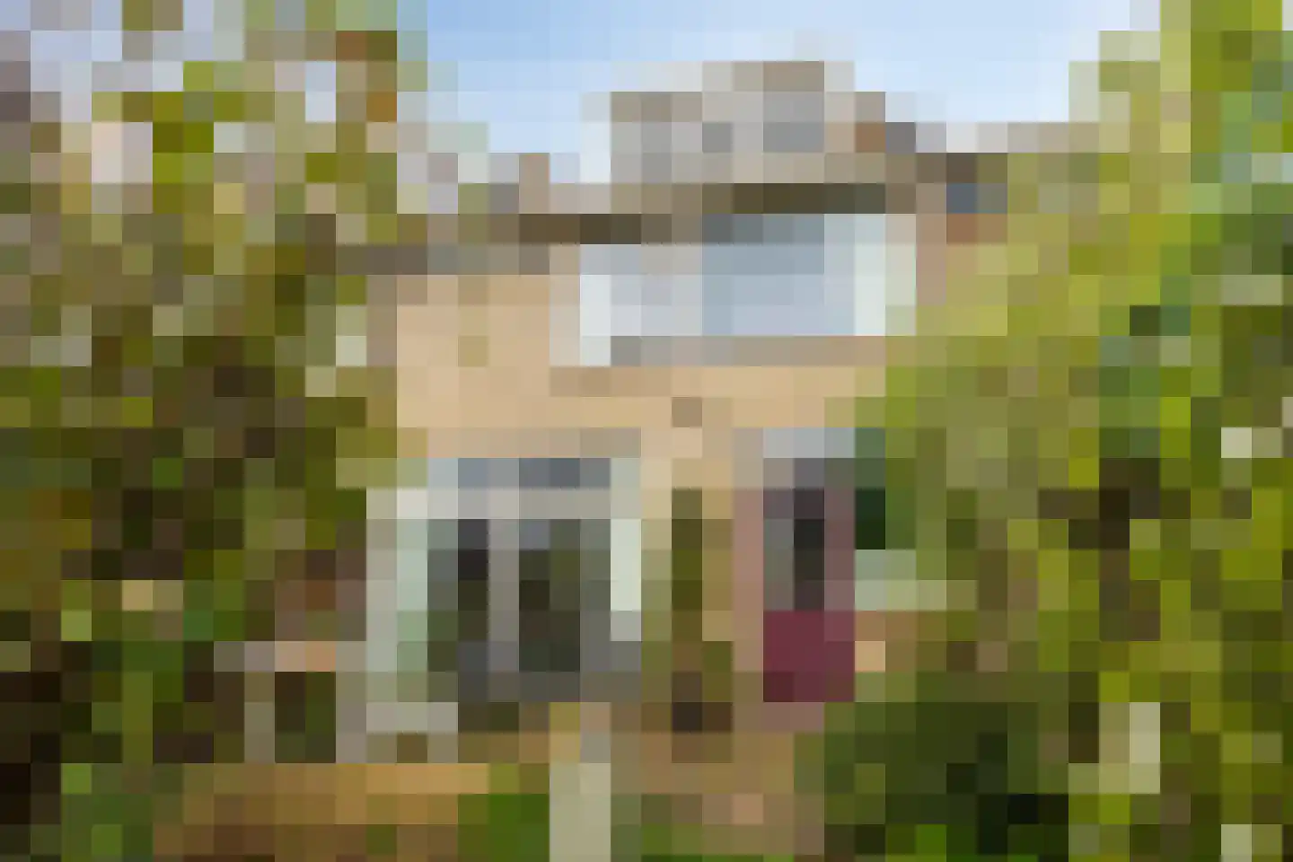 Oosterlee 6 De Lier thumbnail 35