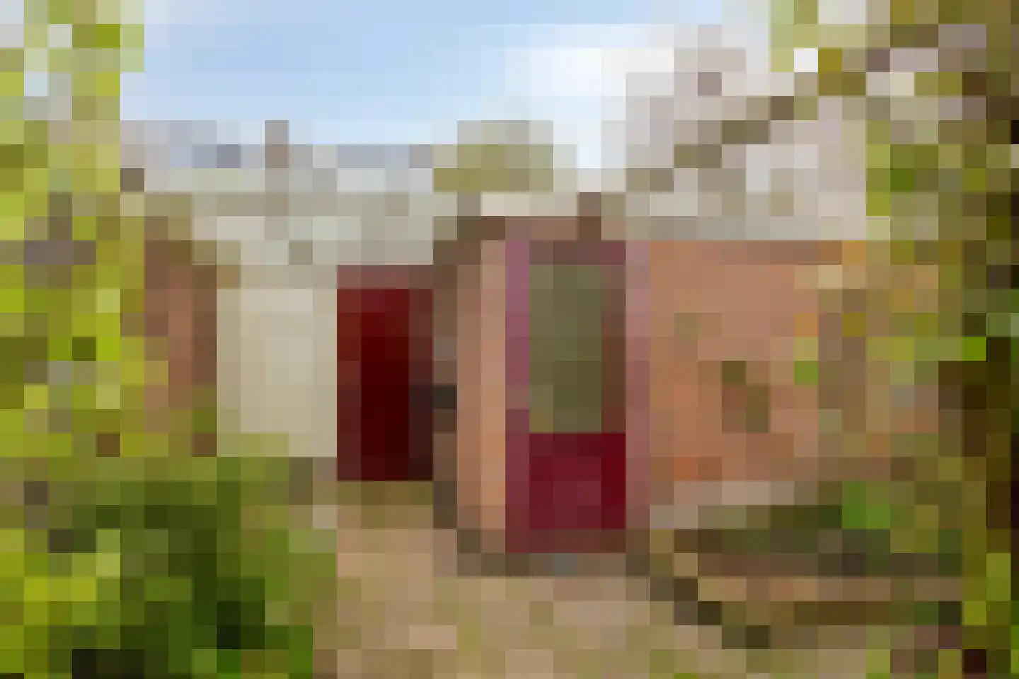 Oosterlee 6 De Lier thumbnail 36