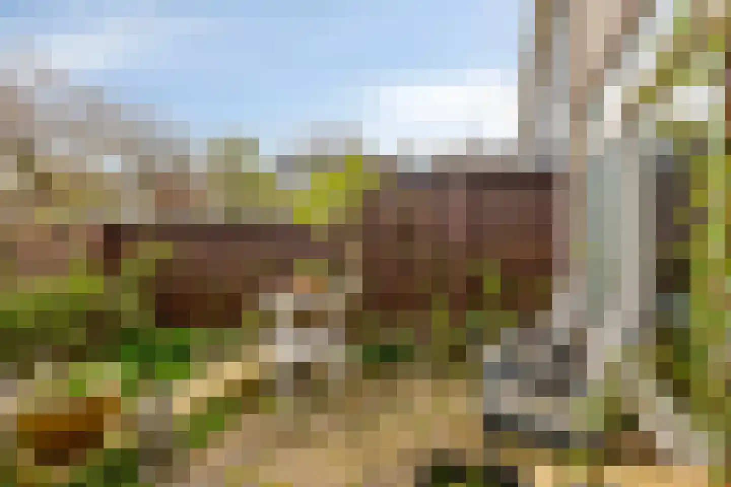 Oosterlee 6 De Lier thumbnail 37
