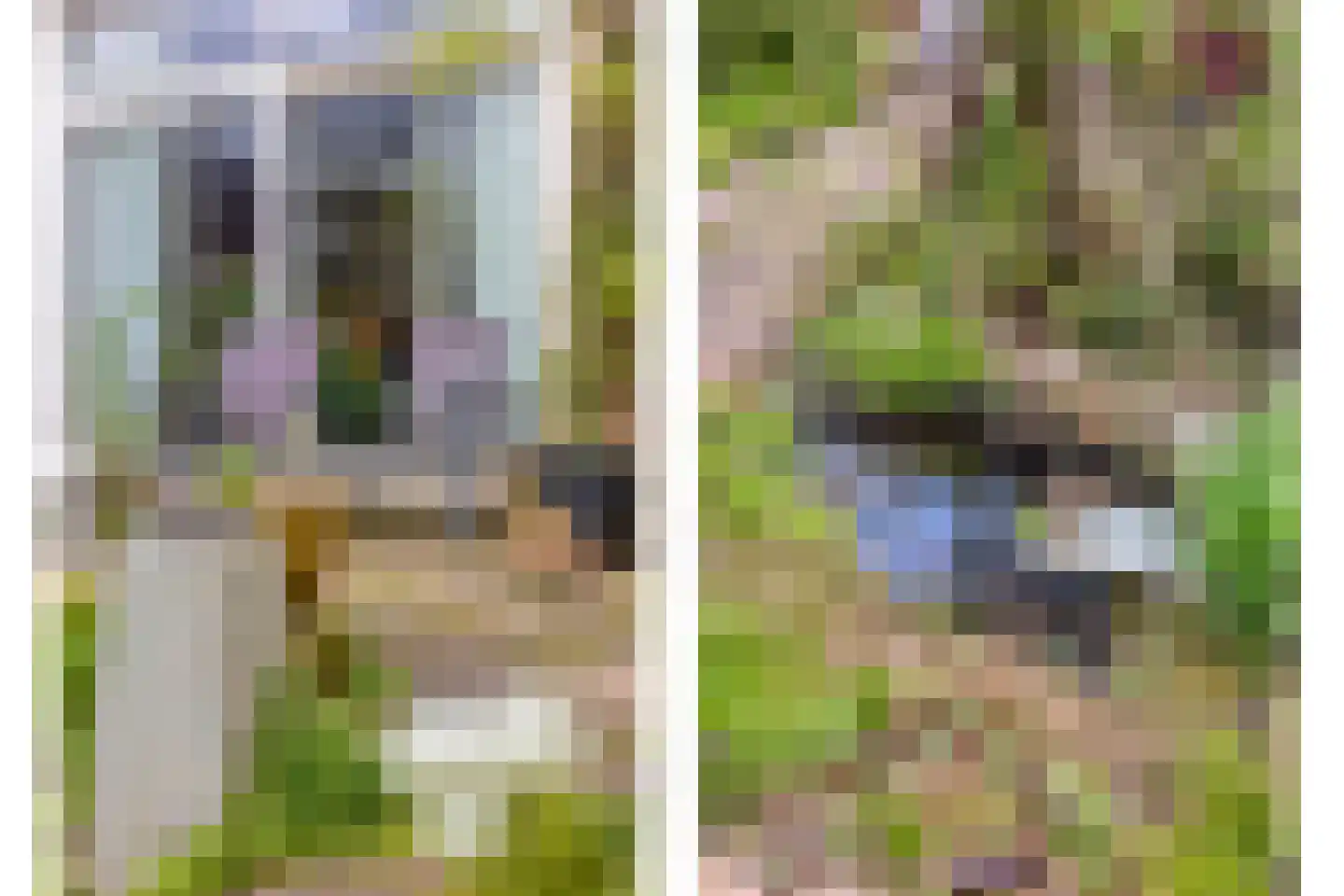 Oosterlee 6 De Lier thumbnail 38