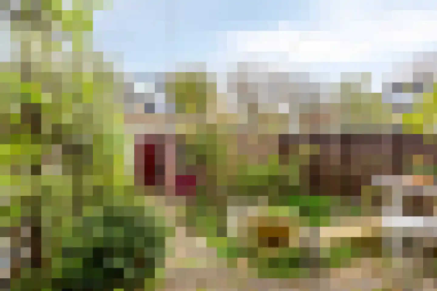Oosterlee 6 De Lier thumbnail 39