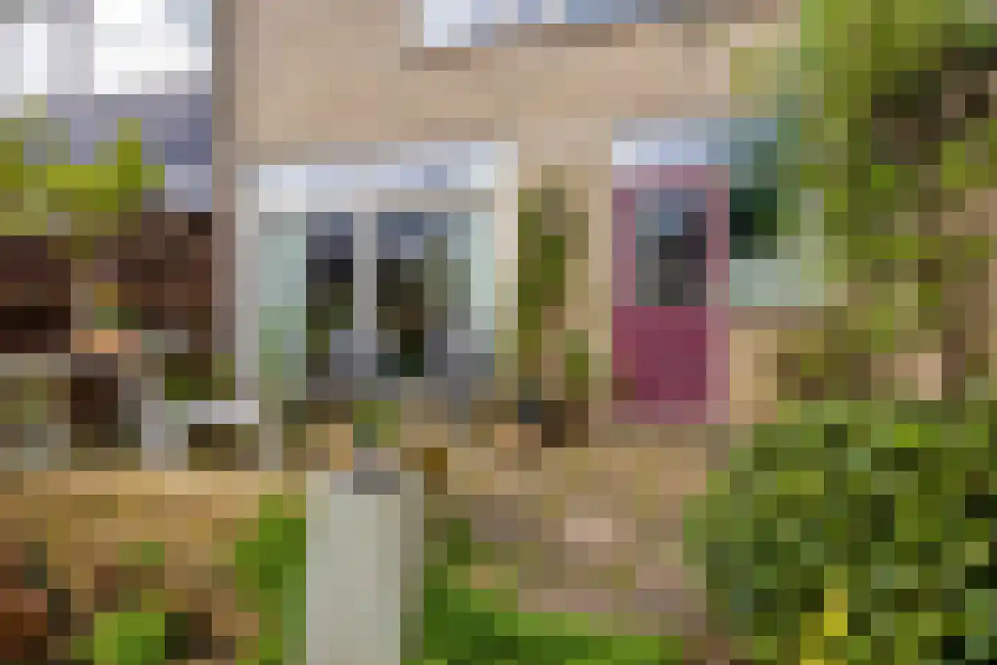 Oosterlee 6 De Lier thumbnail 4