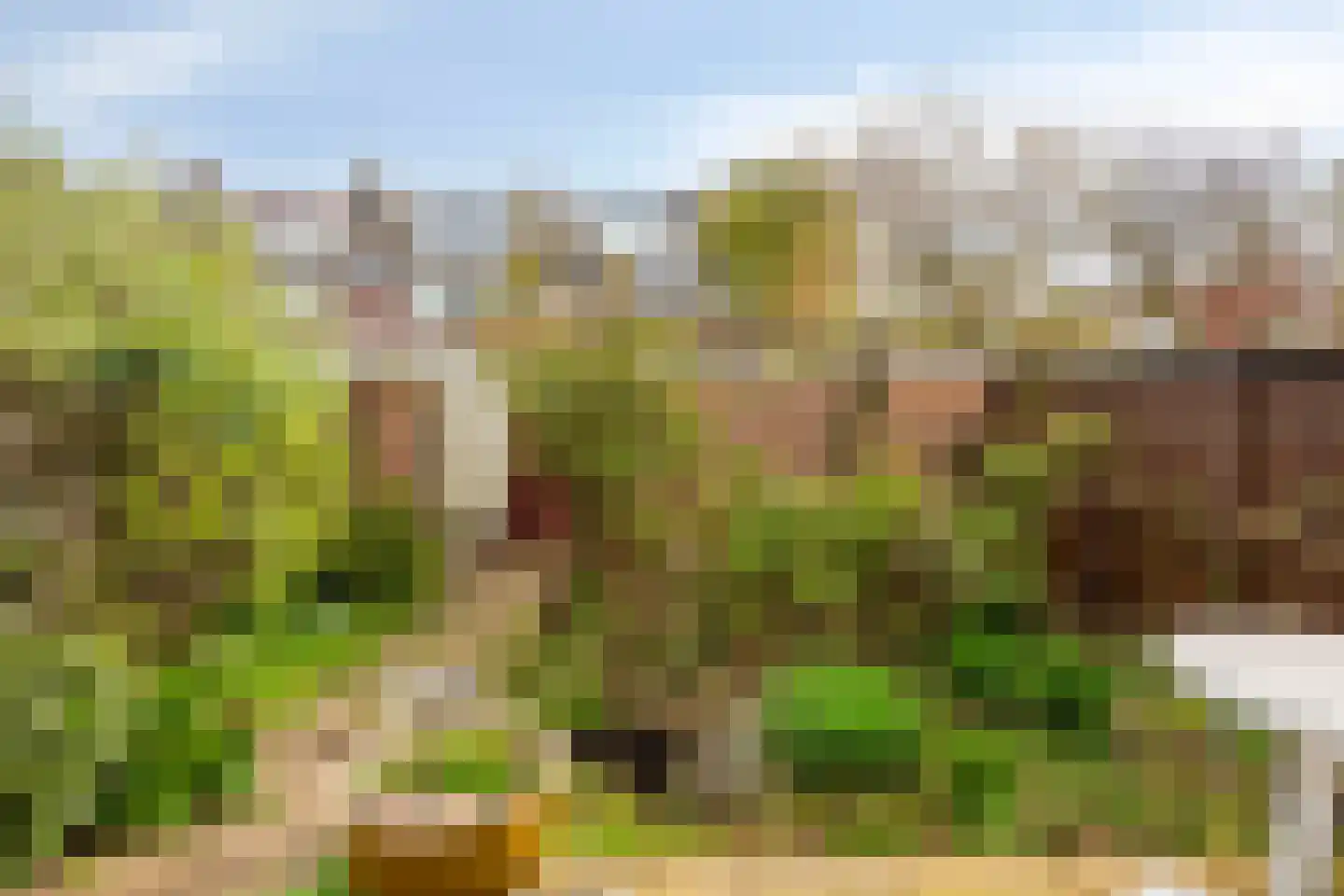 Oosterlee 6 De Lier thumbnail 40