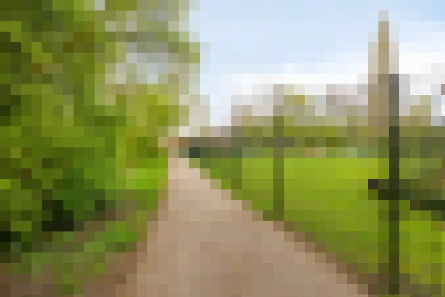 Oosterlee 6 De Lier thumbnail 46