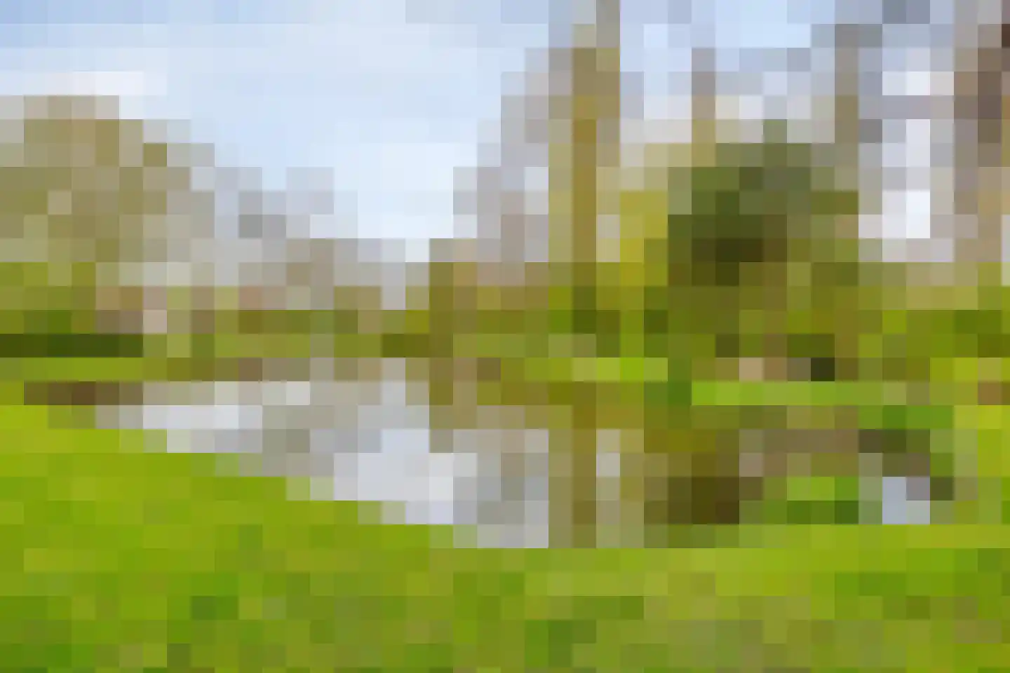 Oosterlee 6 De Lier thumbnail 47