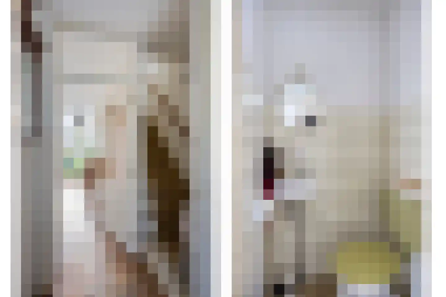 Oosterlee 6 De Lier thumbnail 7