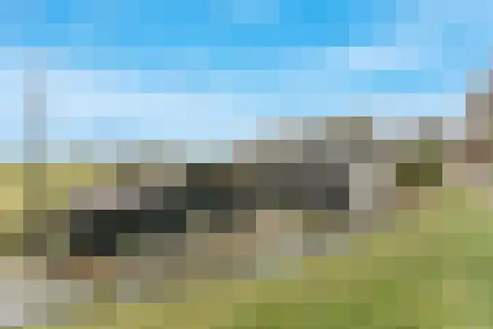 Oosterleek 1 Oosterleek