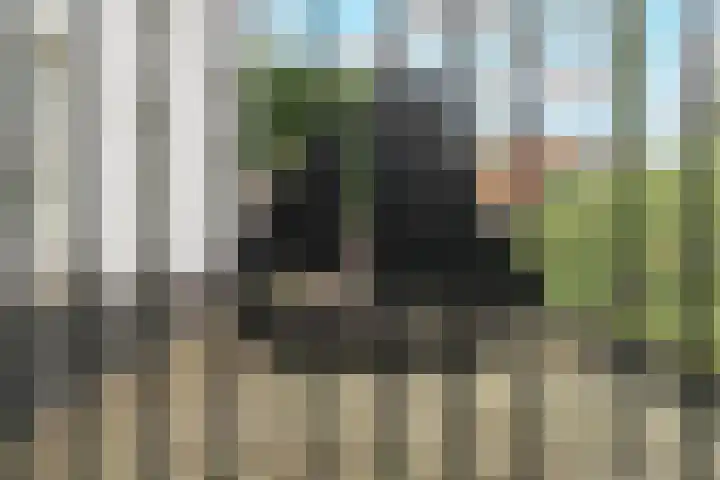 Oosterleek 1 Oosterleek thumbnail 10