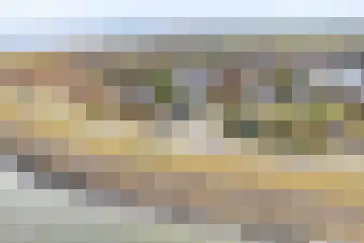 Oosterleek 1 Oosterleek thumbnail 16