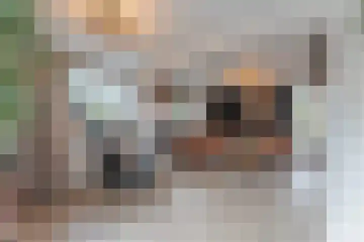 Oosterleek 1 Oosterleek thumbnail 20