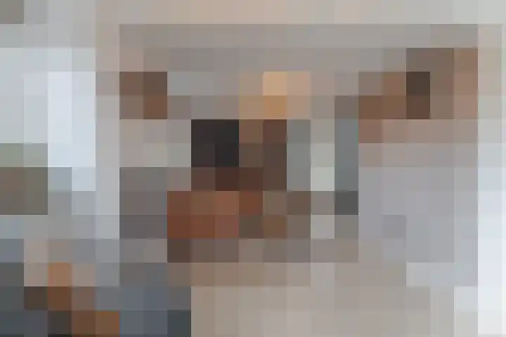 Oosterleek 1 Oosterleek thumbnail 22