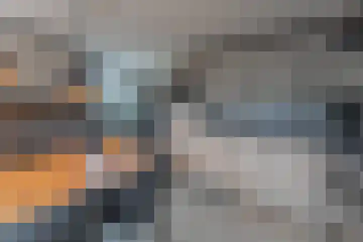 Oosterleek 1 Oosterleek thumbnail 29