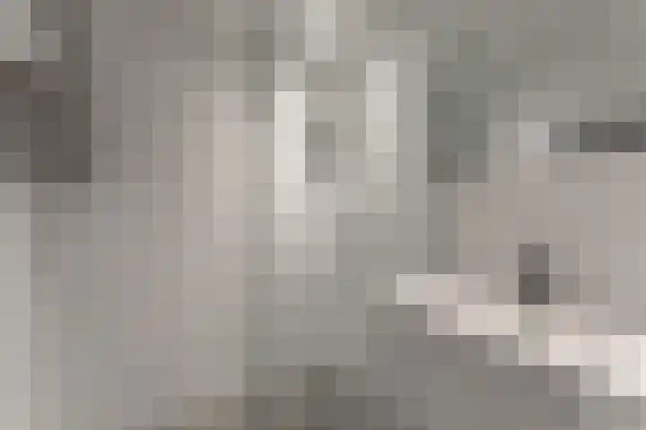 Oosterleek 1 Oosterleek thumbnail 33