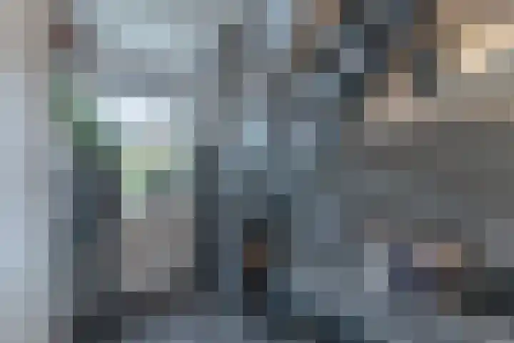 Oosterleek 1 Oosterleek thumbnail 34
