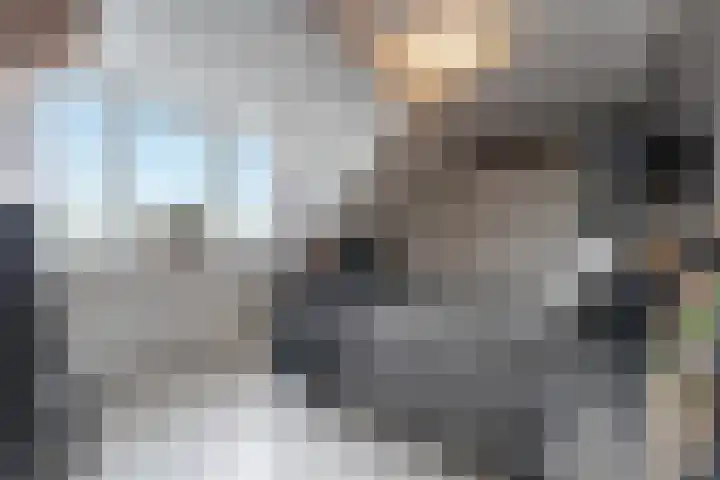 Oosterleek 1 Oosterleek thumbnail 36