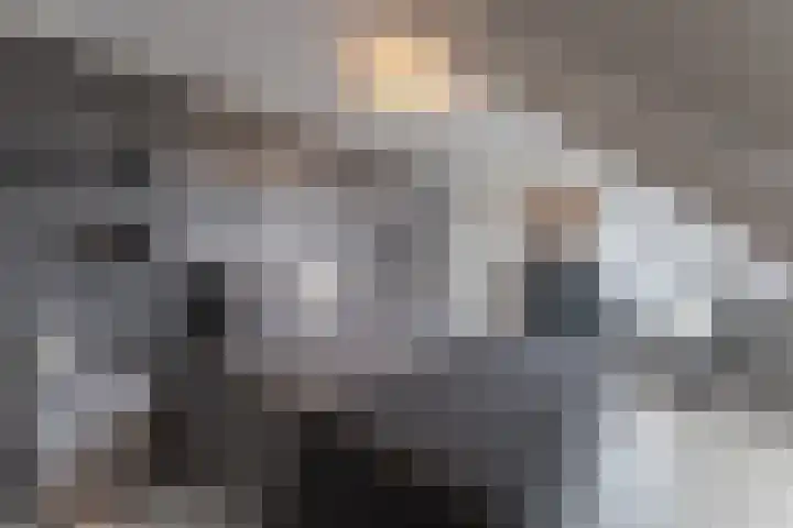 Oosterleek 1 Oosterleek thumbnail 37