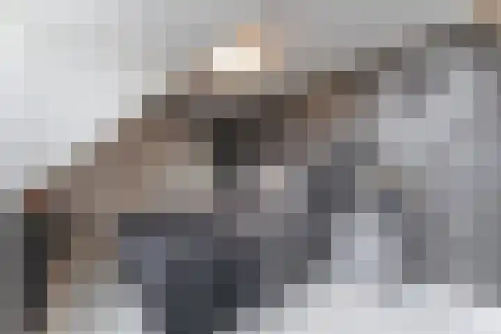 Oosterleek 1 Oosterleek thumbnail 38
