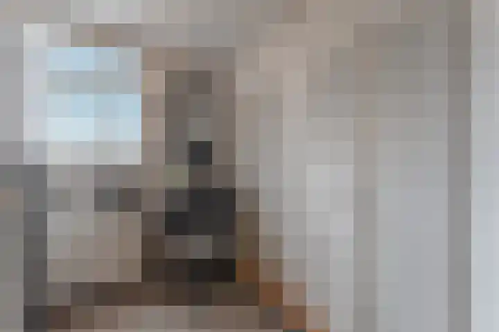 Oosterleek 1 Oosterleek thumbnail 43