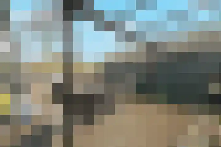 Oosterleek 1 Oosterleek thumbnail 48