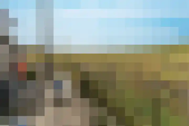 Oosterleek 1 Oosterleek thumbnail 50
