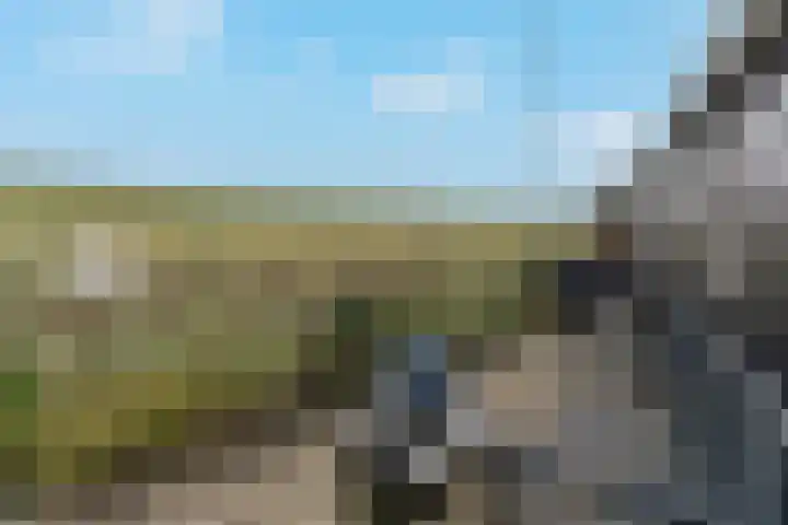 Oosterleek 1 Oosterleek thumbnail 51