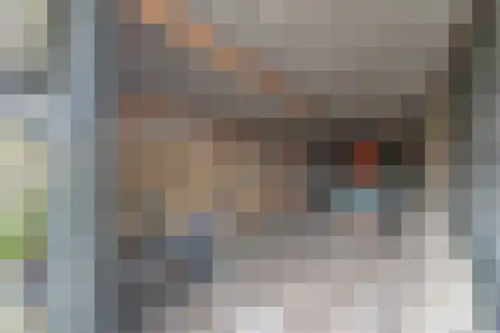 Oosterleek 1 Oosterleek thumbnail 53