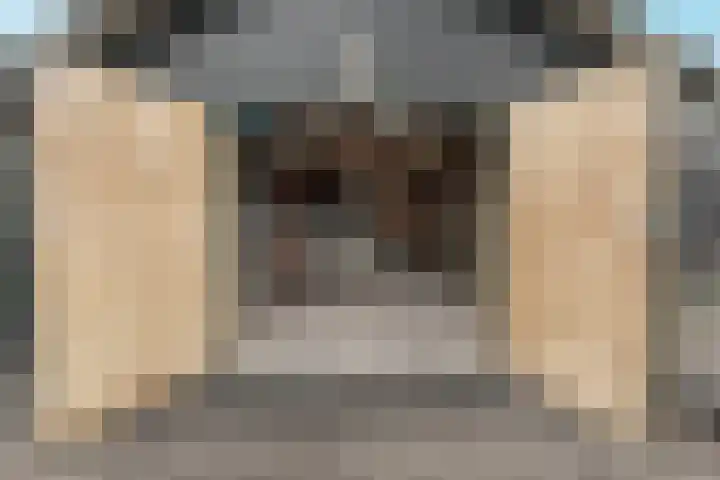 Oosterleek 1 Oosterleek thumbnail 57