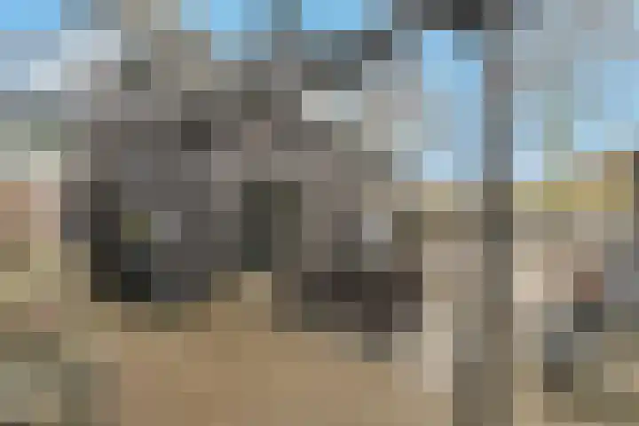 Oosterleek 1 Oosterleek thumbnail 6