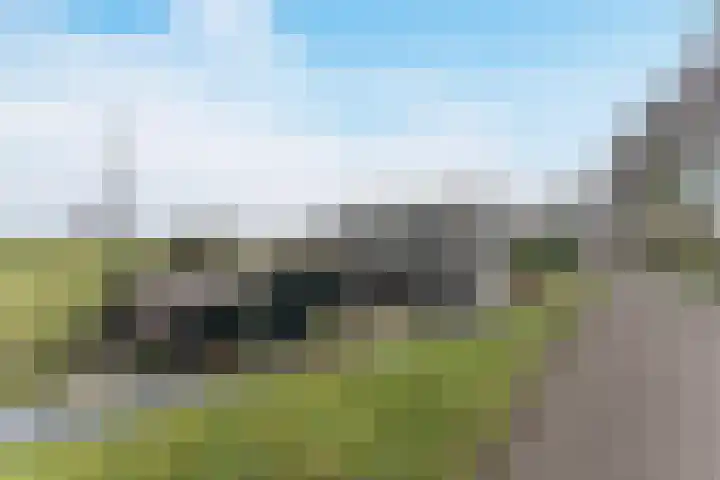 Oosterleek 1 Oosterleek thumbnail 65
