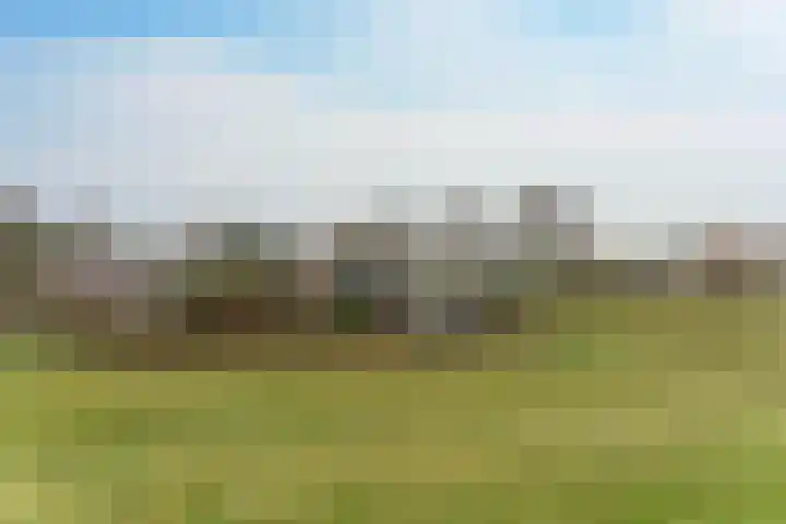 Oosterleek 1 Oosterleek thumbnail 67