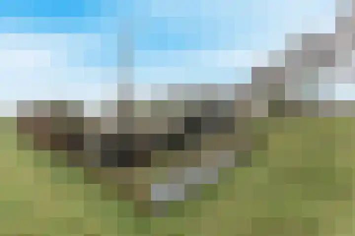 Oosterleek 1 Oosterleek thumbnail 68