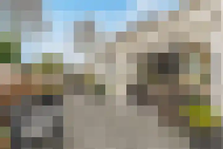 Oosterleek 1 Oosterleek thumbnail 7