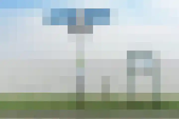 Oosterleek 1 Oosterleek thumbnail 71
