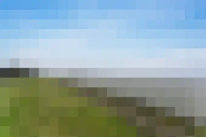 Oosterleek 1 Oosterleek thumbnail 72