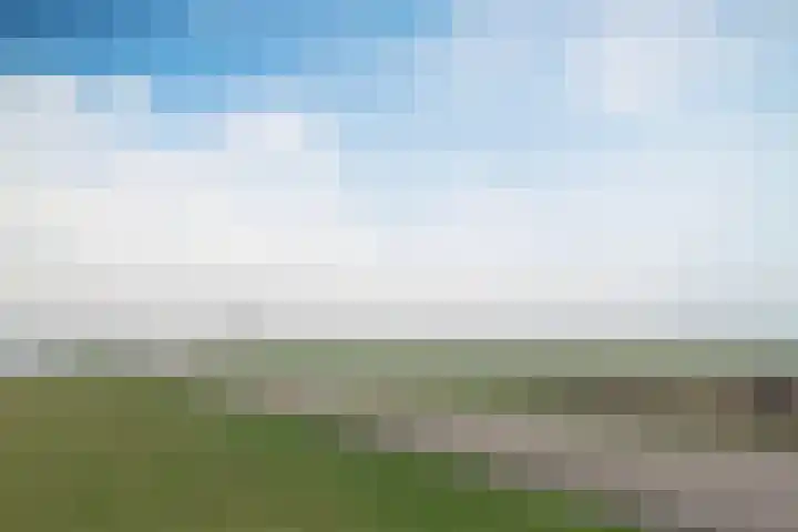 Oosterleek 1 Oosterleek thumbnail 73