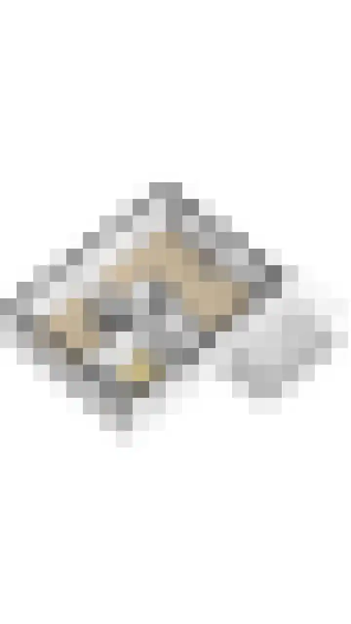 Oosterleek 1 Oosterleek thumbnail 77