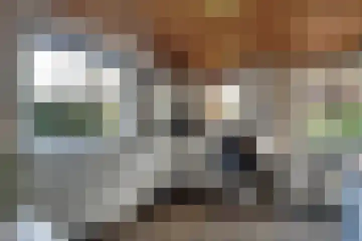 Oosterleek 2 Oosterleek thumbnail 19