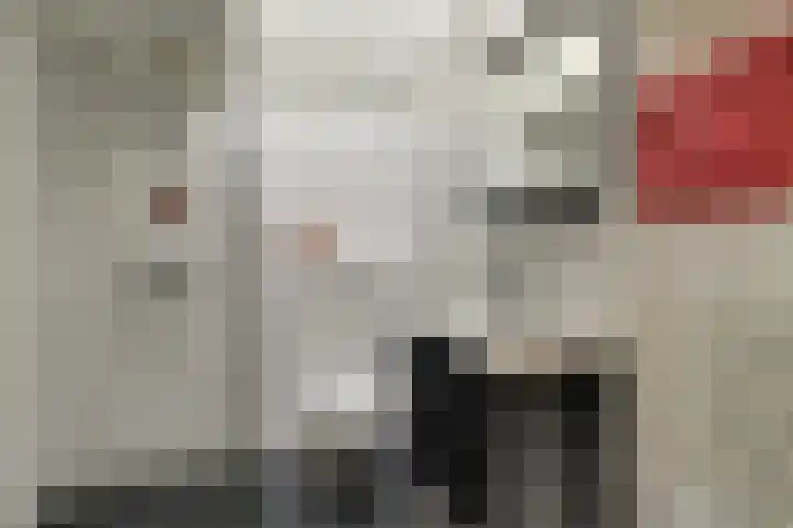 Oosterleek 2 Oosterleek thumbnail 23