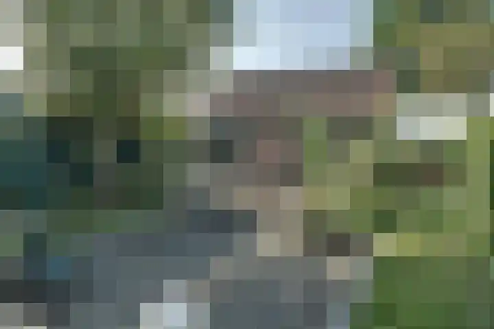 Oosterleek 2 Oosterleek thumbnail 25