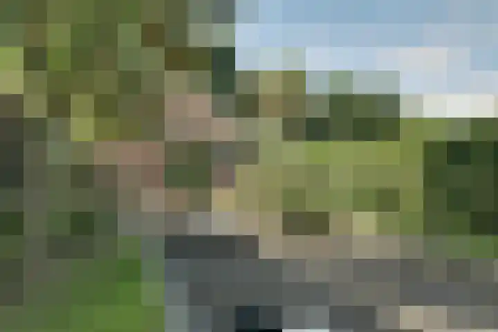 Oosterleek 2 Oosterleek thumbnail 26